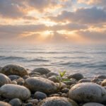 Sunrise over calm ocean waves with a small plant sprouting from smooth stones, symbolizing emotional healing and new hope